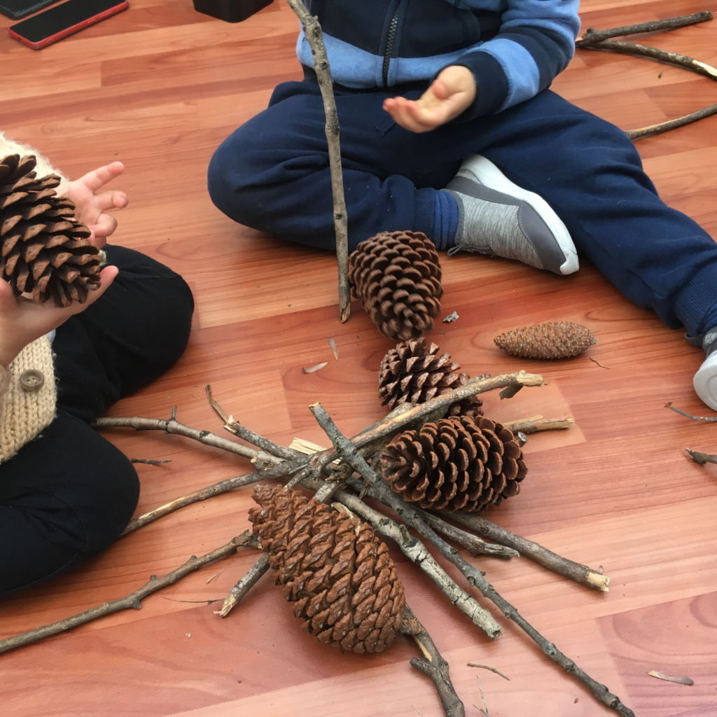 piñas ramas